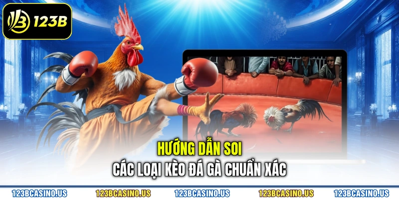 Hướng dẫn soi các loại kèo đá gà chuẩn xác