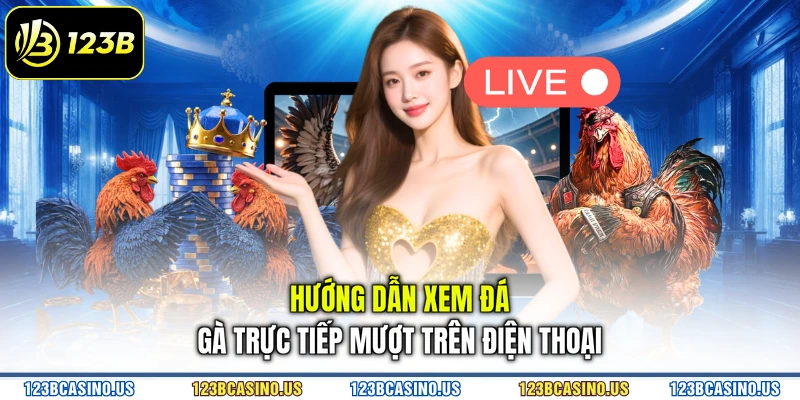 Hướng dẫn xem đá gà trực tiếp mượt trên điện thoại