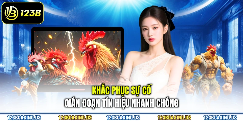 Khắc phục sự cố gián đoạn tín hiệu nhanh chóng