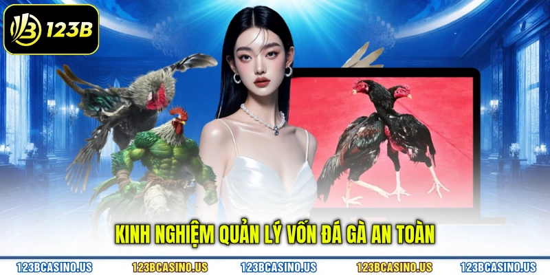 Kinh nghiệm quản lý vốn đá gà an toàn