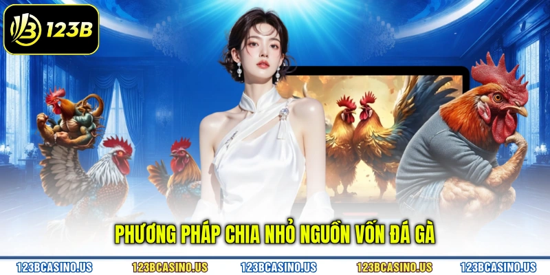 Phương pháp chia nhỏ nguồn vốn đá gà
