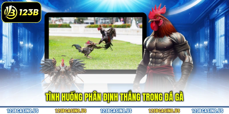 Tình huống phân định thắng trong đá gà